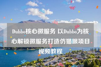 Dubbo核心微服务 以Dubbo为核心解锁微服务打造仿猫眼项目视频教程