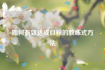 如何有效达成目标的教练式方法