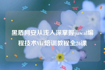 黑盾网安从浅入深掌握pascal编程技术VIP培训教程全26课