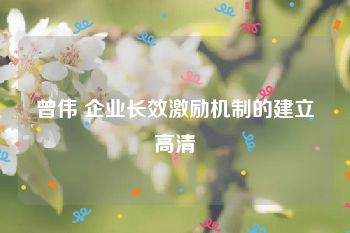 曾伟 企业长效激励机制的建立高清