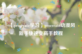 【procreate学习】procreate动漫风新手快速变高手教程