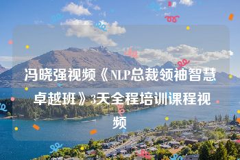 冯晓强视频《NLP总裁领袖智慧 卓越班》3天全程培训课程视频