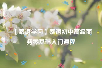 【泰语学习】泰语初中高级商务零基础入门课程