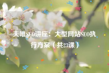 夫唯SEO讲座：大型网站SEO执行方案（共23课）