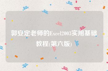 郭安定老师的Excel2003实用基础教程(第六版)