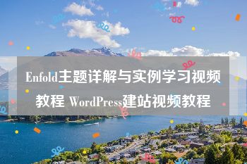 Enfold主题详解与实例学习视频教程 WordPress建站视频教程