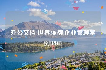 办公文档 世界500强企业管理案例[PDF]