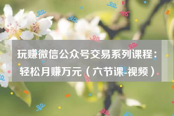 玩赚微信公众号交易系列课程：轻松月赚万元（六节课-视频）