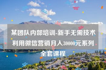 某团队内部培训-新手无需技术利用微信营销月入30000元系列全套课程