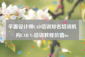 平面设计师CAD培训知名培训机构CAD V-培训教程价值6w