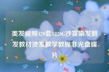 美发视频420套1220G沙宣染发剪发教材烫发教学教程非光盘碟片