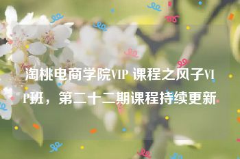 淘桃电商学院VIP 课程之风子VIP班，第二十二期课程持续更新