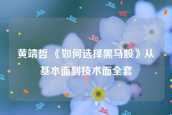 黄靖哲 《如何选择黑马股》从基本面到技术面全套