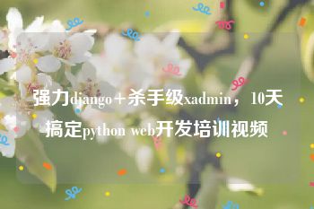 强力django+杀手级xadmin，10天搞定python web开发培训视频