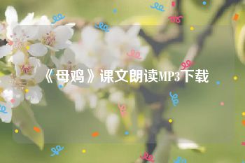 《母鸡》课文朗读MP3下载