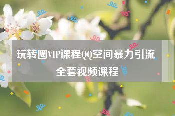 玩转圈VIP课程QQ空间暴力引流 全套视频课程