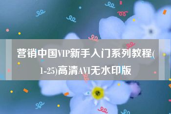 营销中国VIP新手入门系列教程(1-25)高清AVI无水印版