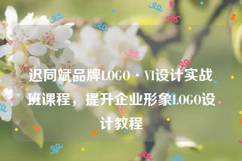 迟同斌品牌LOGO·VI设计实战班课程，提升企业形象LOGO设计教程