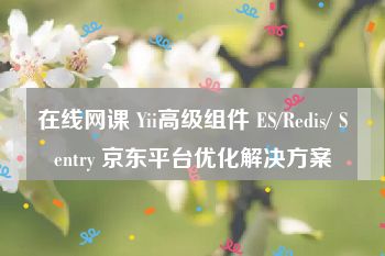 在线网课 Yii高级组件 ES/Redis/ Sentry 京东平台优化解决方案