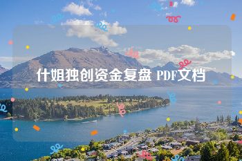 什姐独创资金复盘 PDF文档