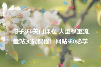 附子SEO关门课程 大型权重流量站实战课程！网站SEO必学