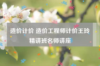 造价计价 造价工程师计价王玲精讲班名师讲座