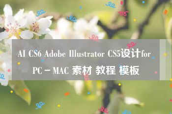 AI CS6 Adobe Illustrator CS5设计for PC－MAC 素材 教程 模板