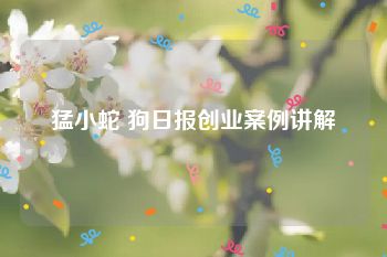 猛小蛇 狗日报创业案例讲解