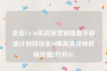 克亚3+30实战派营销操盘手锻造计划特训全29集高清视频教程价值2万共8G