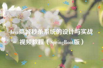 Java商城秒杀系统的设计与实战视频教程（SpringBoot版）