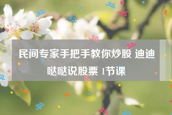 民间专家手把手教你炒股 迪迪哒哒说股票 1节课