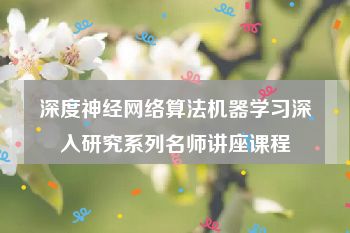 深度神经网络算法机器学习深入研究系列名师讲座课程