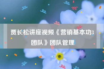 贾长松讲座视频《营销基本功3 团队》团队管理