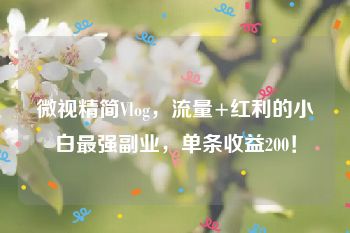 微视精简Vlog，流量+红利的小白最强副业，单条收益200！