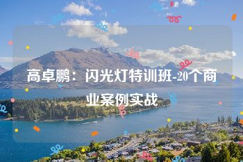 高卓鹏：闪光灯特训班-20个商业案例实战