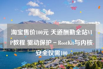 淘宝售价100元 天道酬勤全站VIP教程 驱动保护－RootKit与内核安全仅需100