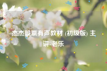 杰杰股票有声教材 (初级版) 主讲-老乐