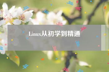 Linux从初学到精通