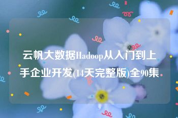 云帆大数据Hadoop从入门到上手企业开发(14天完整版)全90集