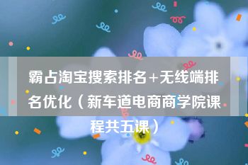 霸占淘宝搜索排名+无线端排名优化（新车道电商商学院课程共五课）