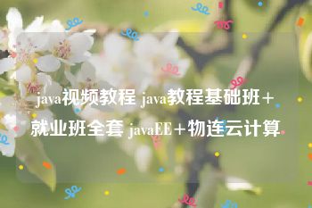 java视频教程 java教程基础班+就业班全套 javaEE+物连云计算