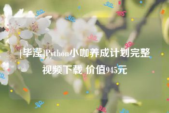 [毕滢]Python小咖养成计划完整视频下载 价值945元