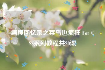 编程回忆录之菜鸟也疯狂 For CSS系列教程共20课