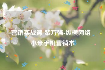 营销实战课 黎万强-纵横网络_小米手机营销术