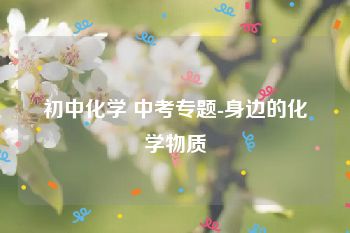 初中化学 中考专题-身边的化学物质