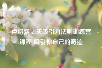 卢熠翎 21天吸引力法则训练营课程-吸引你自己的奇迹