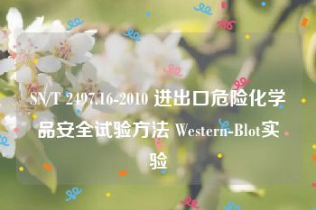 SN/T 2497.16-2010 进出口危险化学品安全试验方法 Western-Blot实验