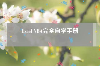 Excel VBA完全自学手册