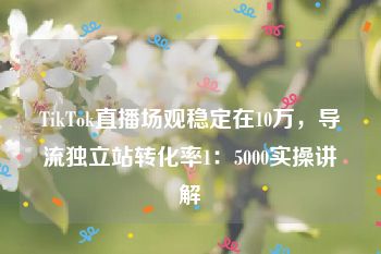 TikTok直播场观稳定在10万，导流独立站转化率1：5000实操讲解