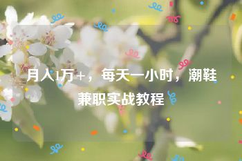 月入1万+，每天一小时，潮鞋兼职实战教程